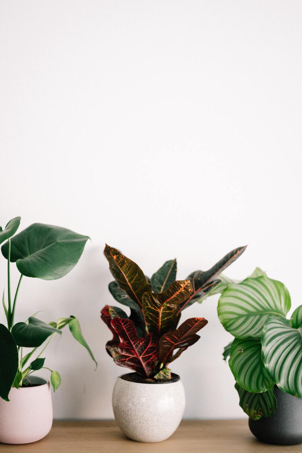 annie-spratt-IcxBbmxecEM-unsplash.jpg-resized
